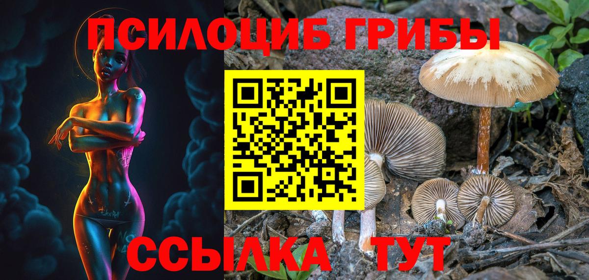 Псилоцибиновые грибы Psilocybine cubensis  Вход с VPN  Новороссийск 
